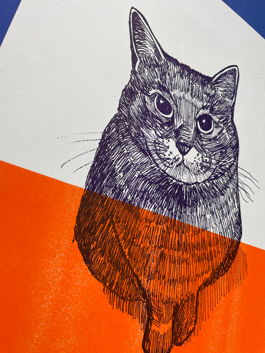 Cat Pim - Risograph print