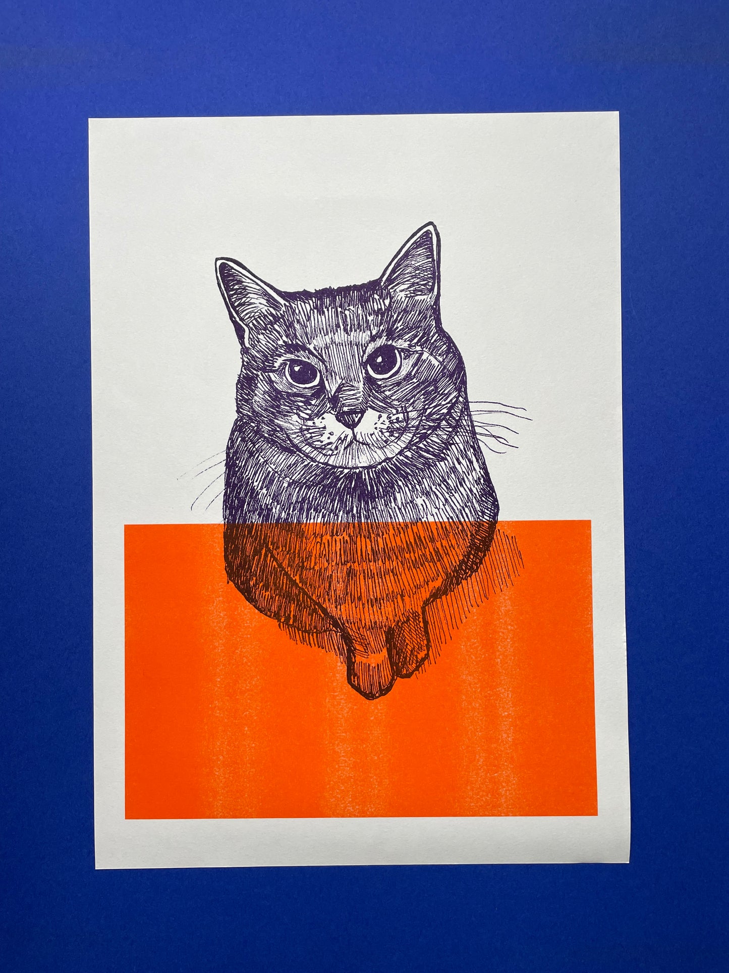 Cat Pim - Risograph print