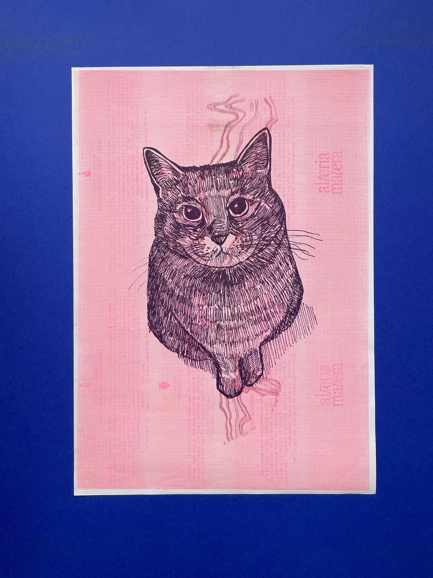 Cat Pim neon pink - Riso print