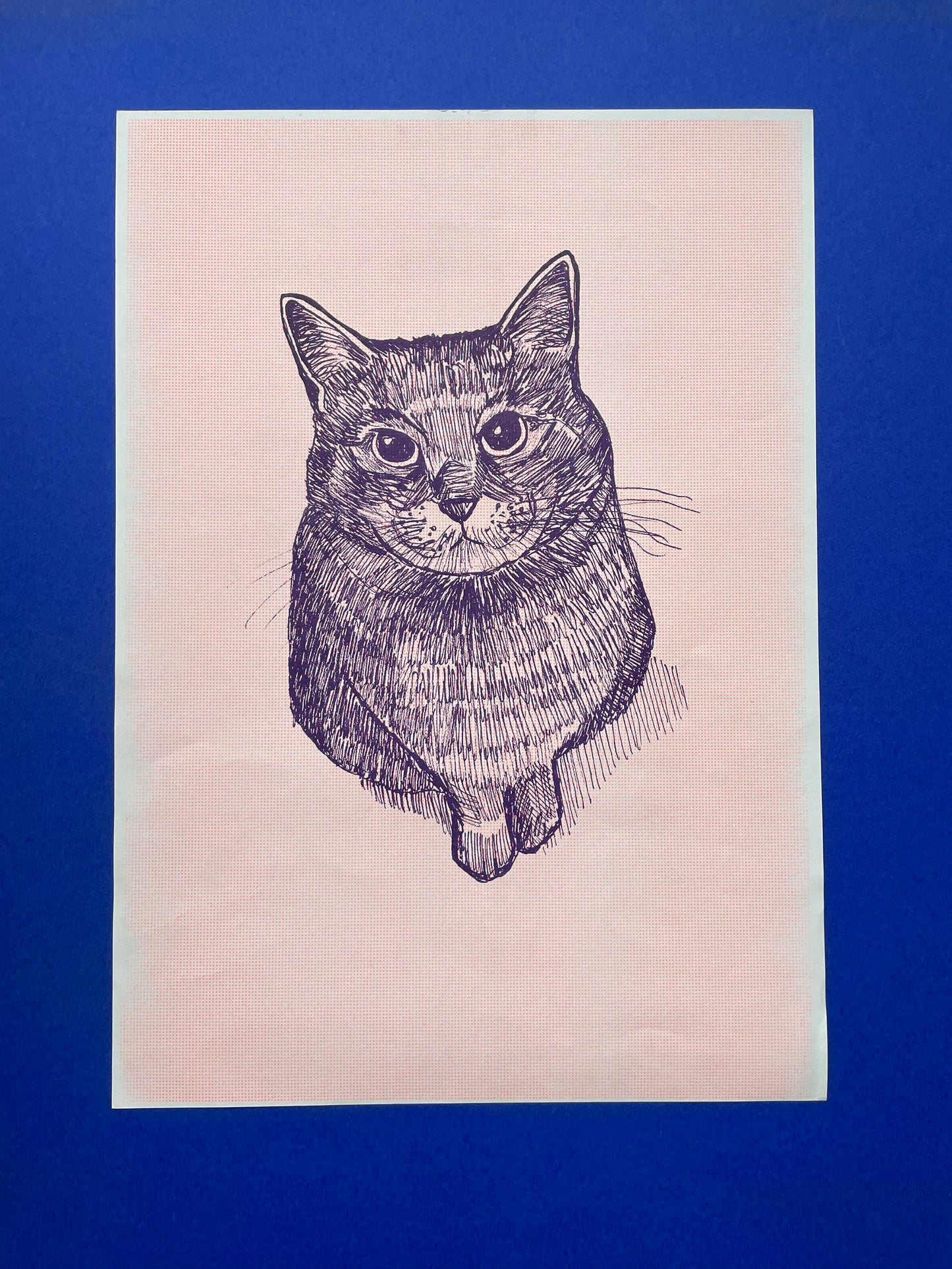 Cat Pim pink - Riso print