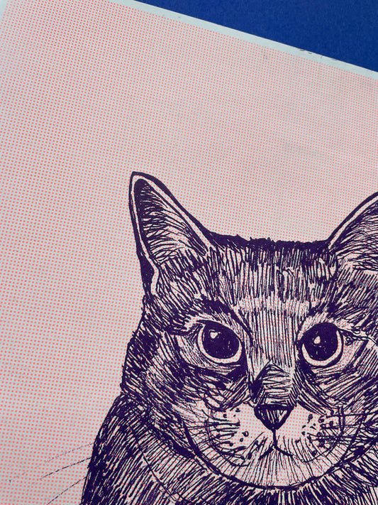 Cat Pim pink - Riso print