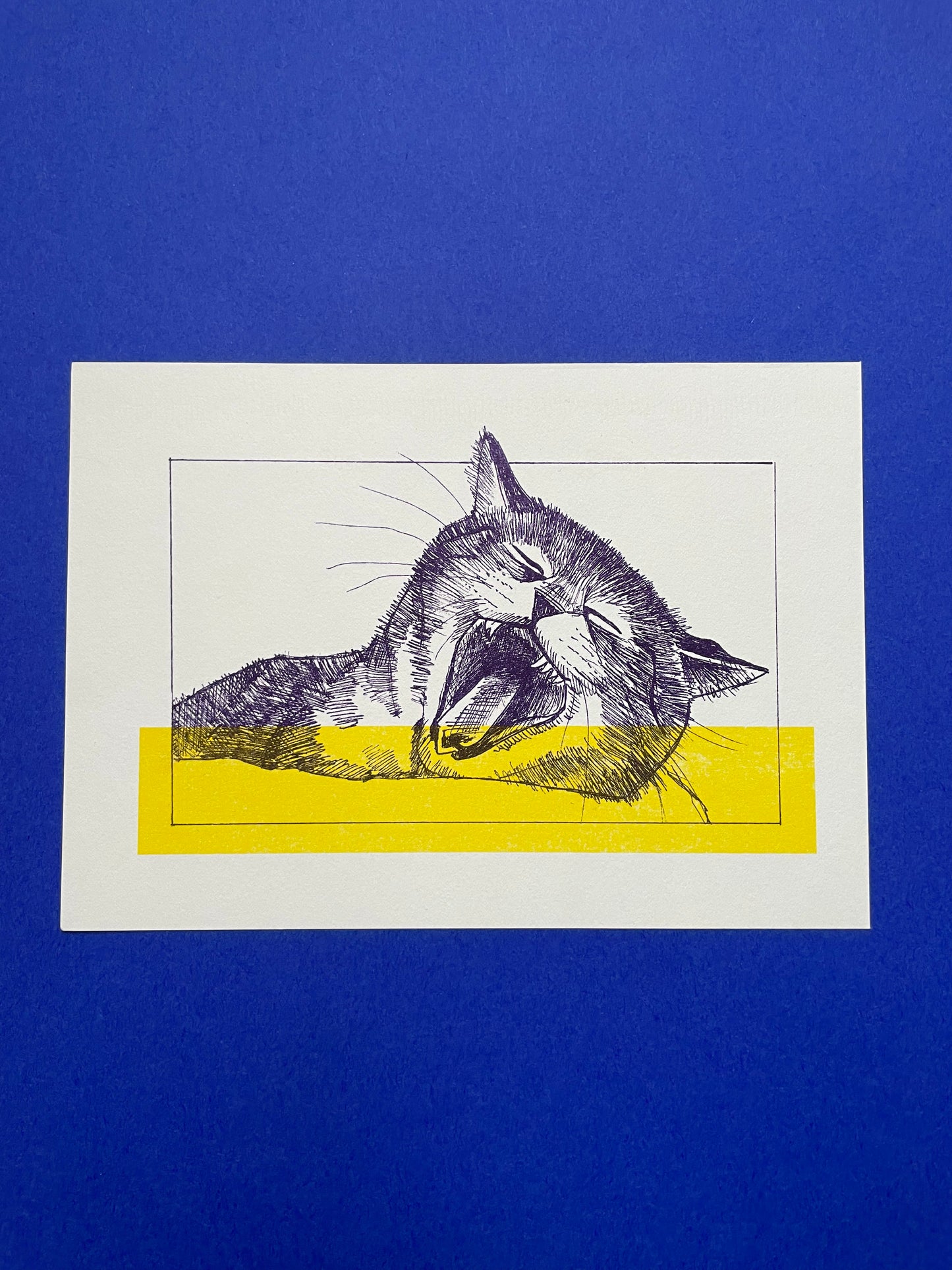 Sleepy cat - Riso print